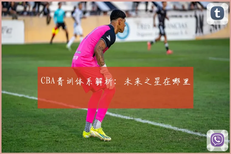 CBA青训体系解析：未来之星在哪里