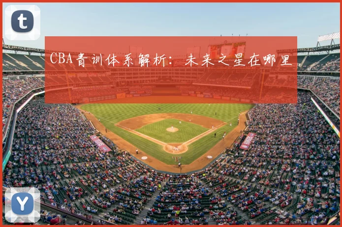 CBA青训体系解析:未来之星在哪里