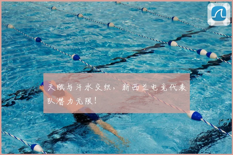 天赋与汗水交织，新西兰电竞代表队潜力无限！