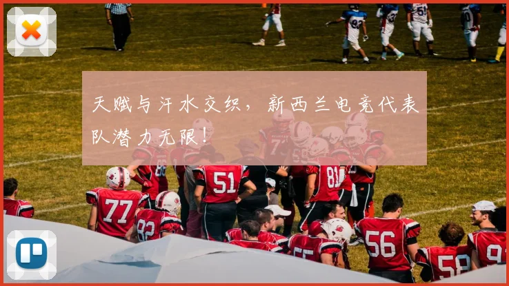 天赋与汗水交织，新西兰电竞代表队潜力无限！