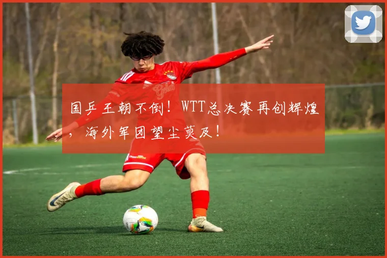 国乒王朝不倒!WTT总决赛再创辉煌,海外军团望尘莫及!